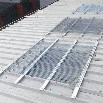 Skylight Protection